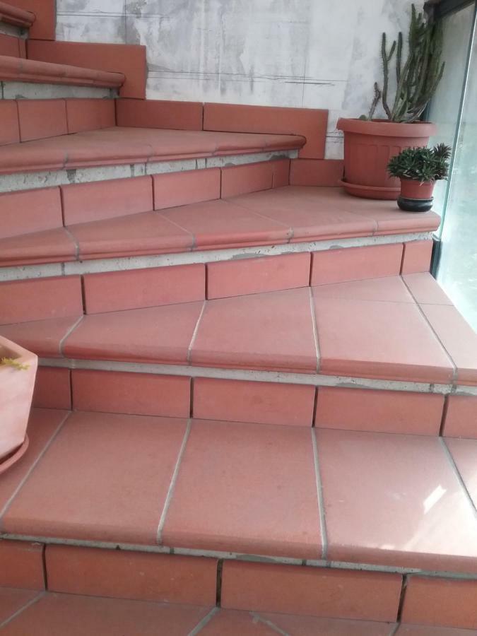 Appartamento Relax 特尔尼 外观 照片